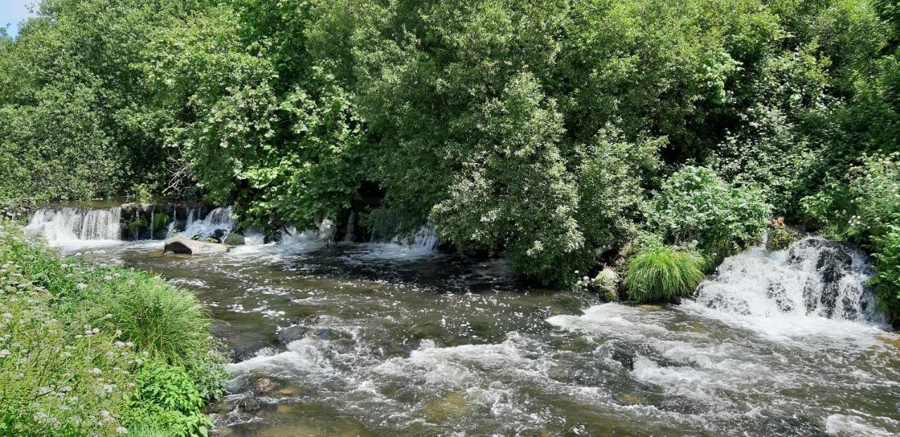 Dream Corner By Waterfalls, 20 Min To Oporto, By Porto With Love Lda Parada  Екстер'єр фото