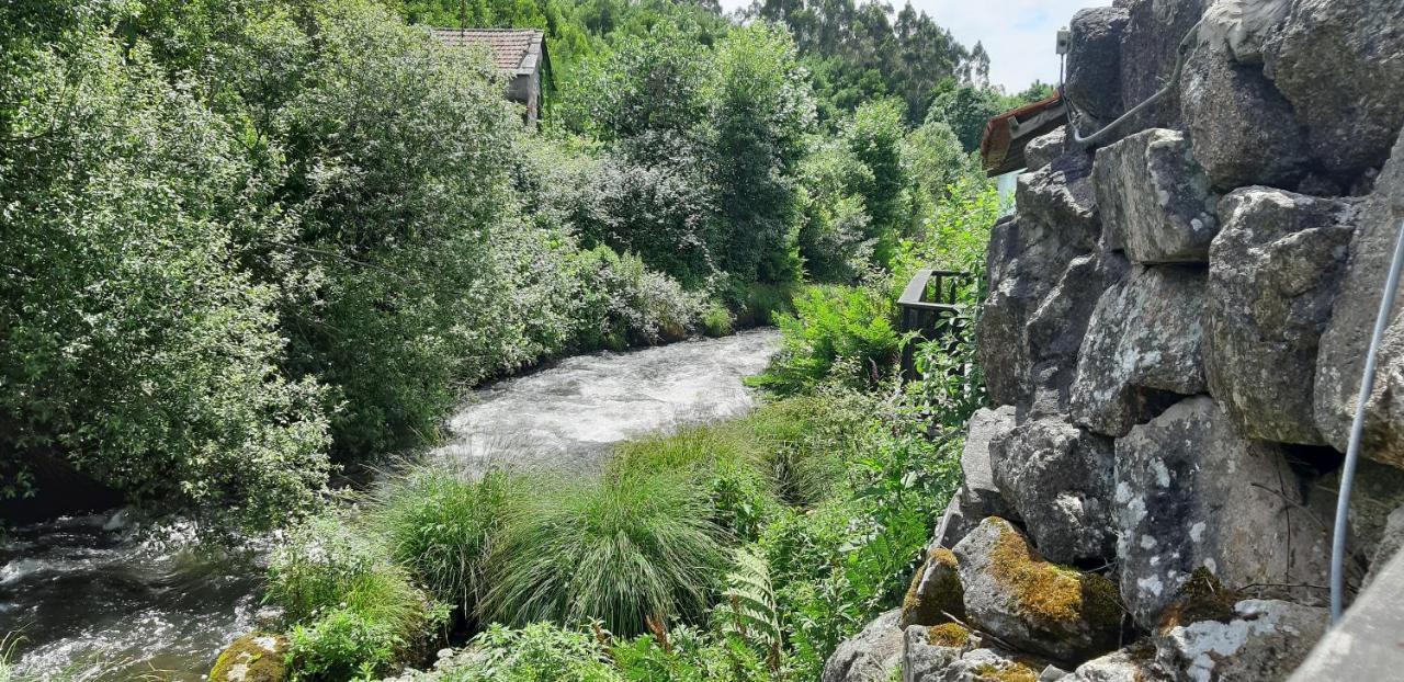 Dream Corner By Waterfalls, 20 Min To Oporto, By Porto With Love Lda Parada  Екстер'єр фото