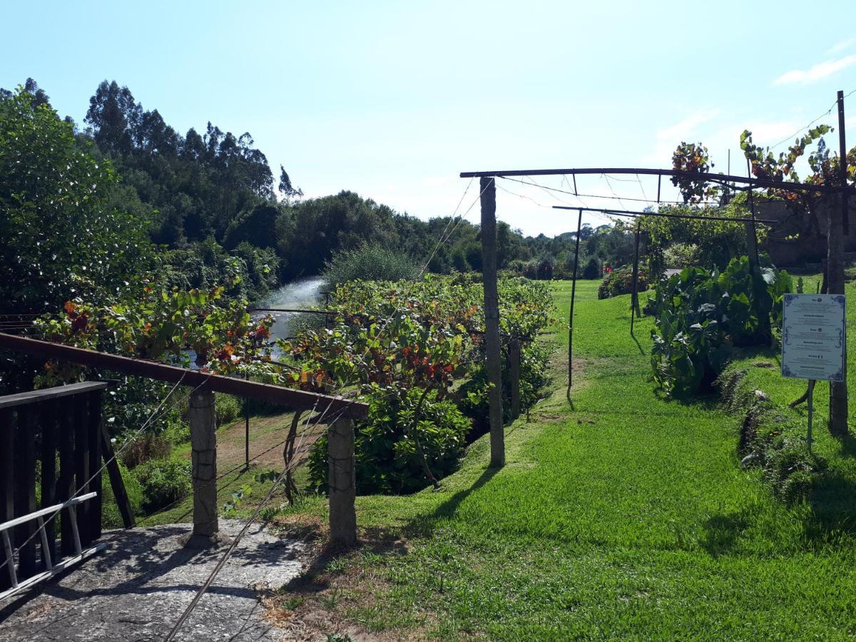 Dream Corner By Waterfalls, 20 Min To Oporto, By Porto With Love Lda Parada  Екстер'єр фото